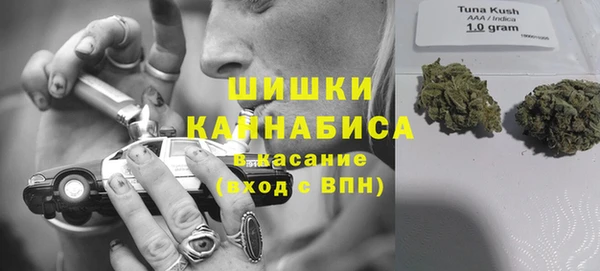 прущие грибы Арсеньев