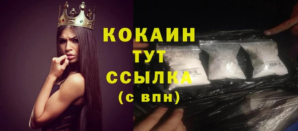 гидра Аркадак