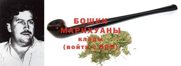 гидра Аркадак