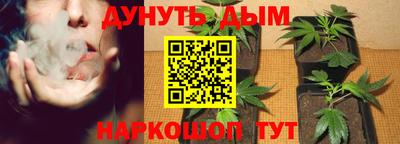 гашик Анапа