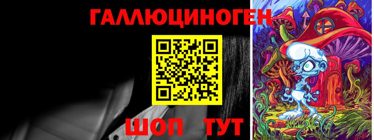 Галлюциногенные грибы Psilocybe Ахтубинск